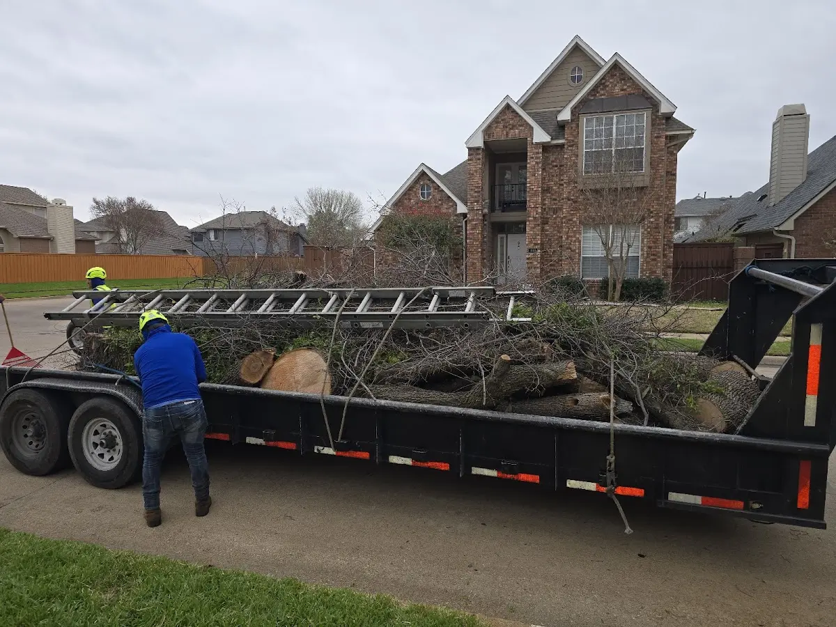 Expert Tree Removal with proper safety equipment in Pennington